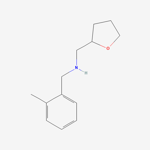 (2-Methyl-benzyl)-(tetrahydro-furan-2-ylmethyl)-amine (CAS: 356531-12-9) - Chemical Structure and Molecular Formula 