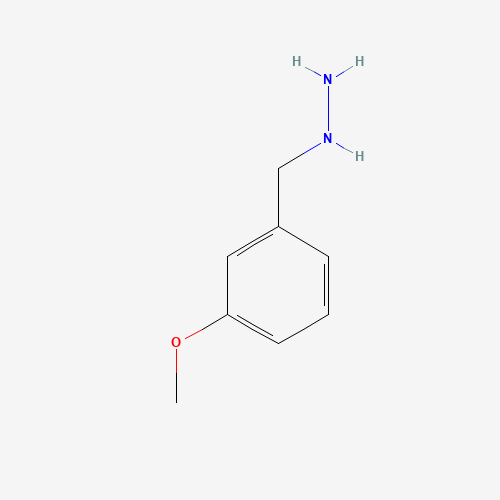 3-Methoxybenzylhydrazine dihydrochloride (CAS: 85293-12-5) - Related Chemical Product