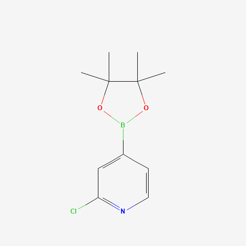 2-Chloro-4-(4,4,5,5-tetramethyl-[1,3,2]-dioxaborolan-2-yl)-pyridine (CAS: 458532-84-8) - Related Chemical Product