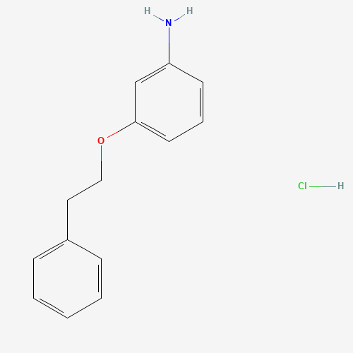 3-(Phenethyloxy)aniline hydrochloride (CAS: 17399-24-5) - Chemical Structure and Molecular Formula 
