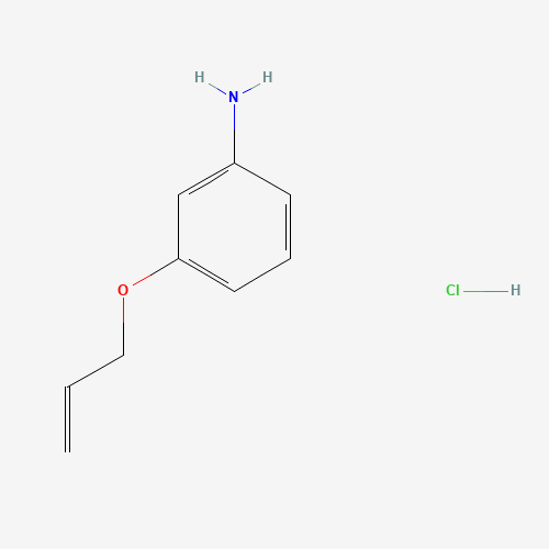 3-(Allyloxy)aniline hydrochloride (CAS: 102879-28-7) - Chemical Structure and Molecular Formula 
