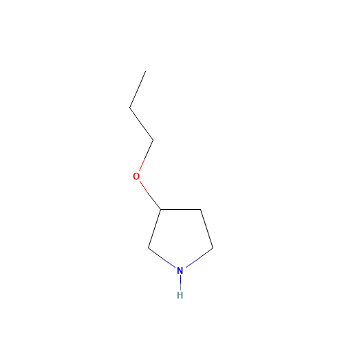 3-Propoxypyrrolidine (CAS: 946681-61-4) - Related Chemical Product