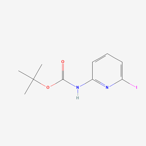 (6-Iodo-pyridin-2-yl)-carbamic acid tert-butyl ester (CAS: 849830-17-7) - Related Chemical Product