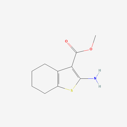 Methyl 2-amino-4,5,6,7-tetrahydro-1-benzothiophene-3-carboxylate (CAS: 108354-78-5) - Related Chemical Product