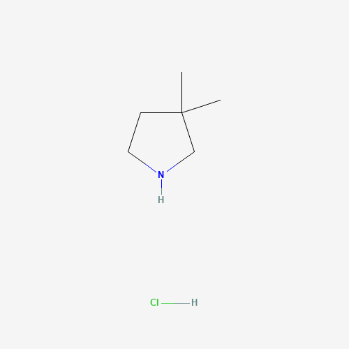 3,3-Dimethylpyrrolidine hydrochloride (CAS: 792915-20-9) - Related Chemical Product