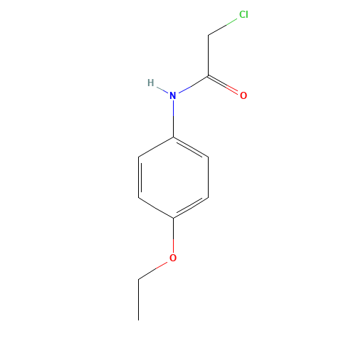 2-Chloro-N-(4-ethoxyphenyl)acetamide (CAS: 2153-08-4) - Chemical Structure and Molecular Formula 