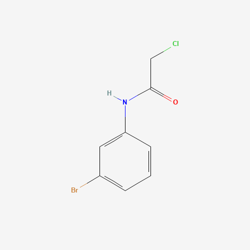 N-(3-Bromophenyl)-2-chloroacetamide (CAS: 2564-03-6) - Related Chemical Product