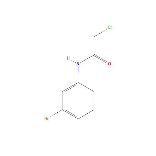 N-(3-Bromophenyl)-2-chloroacetamide (CAS: 2564-03-6) - Related Chemical Product