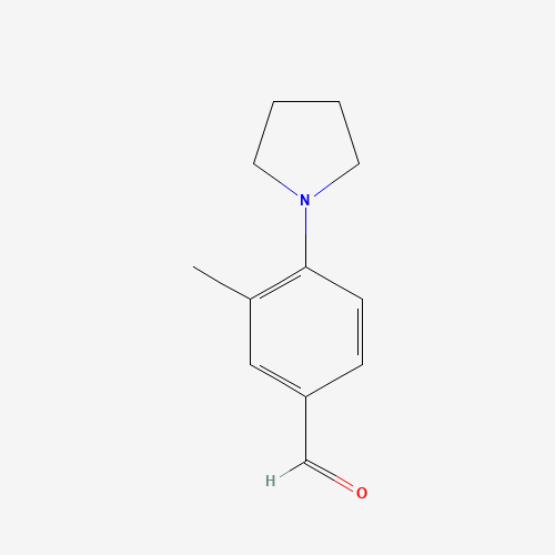 3-Methyl-4-pyrrolidin-1-yl-benzaldehyde (CAS: 461033-80-7) - Related Chemical Product