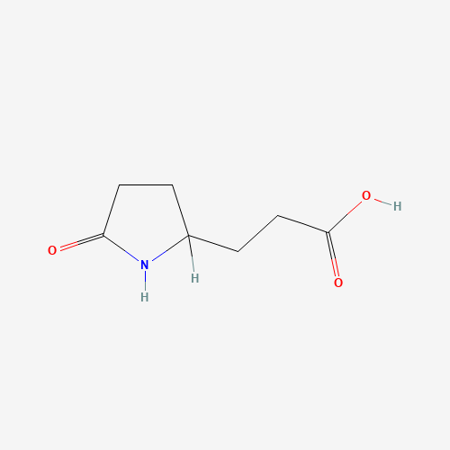 3-(5-Oxo-pyrrolidin-2-yl)-propionic acid (CAS: 7766-86-1) - Related Chemical Product