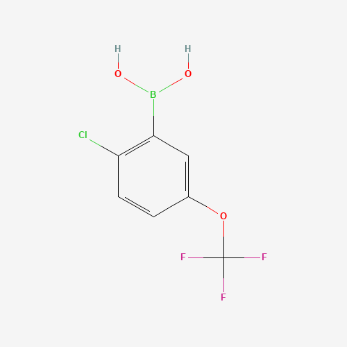 2-Chloro-5-(trifluoromethoxy)phenylboronic acid (CAS: 1022922-16-2) - Related Chemical Product