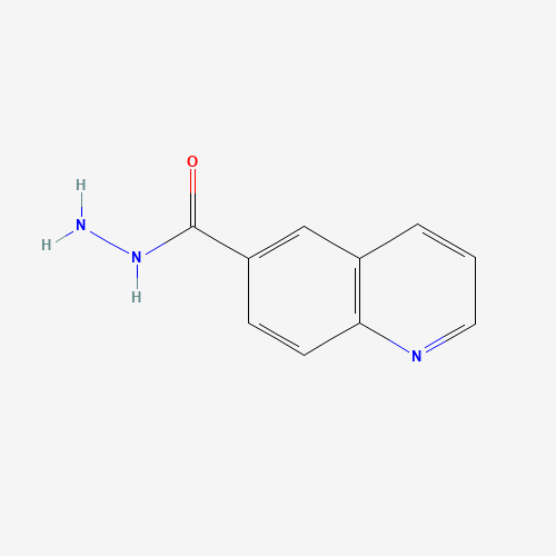 Quinoline-6-carbohydrazide (CAS: 5382-47-8) - Related Chemical Product