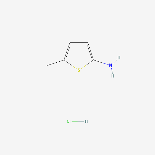 (5-Methyl-2-thienyl)amine hydrochloride (CAS: 41940-48-1) - Chemical Structure and Molecular Formula 
