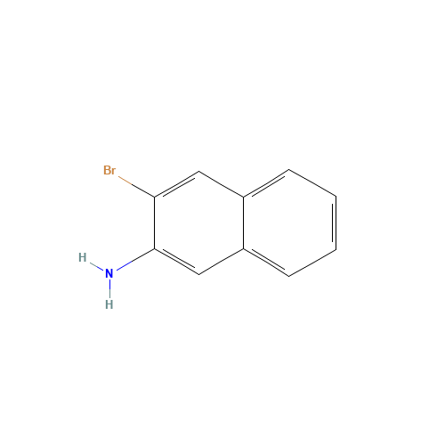 2-Amino-3-bromonaphthalene (CAS: 54245-33-9) - Related Chemical Product