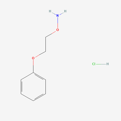 1-[2-(Aminooxy)ethoxy]benzene hydrochloride (CAS: 5397-72-8) - Chemical Structure and Molecular Formula 