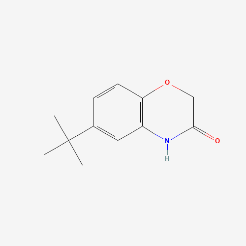 6-(tert-Butyl)-2H-1,4-benzoxazin-3(4H)-one (CAS: 6238-96-6) - Related Chemical Product