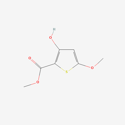 Methyl 3-hydroxy-5-methoxy-2-thiophenecarboxylate (CAS: 19813-55-9) - Related Chemical Product