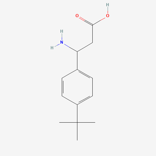 3-Amino-3-[4-(tert-butyl)phenyl]propanoic acid (CAS: 282524-82-7) - Chemical Structure and Molecular Formula 