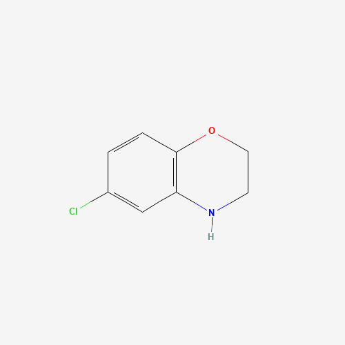 6-Chloro-3,4-dihydro-2H-1,4-benzoxazine (CAS: 70558-11-1) - Related Chemical Product