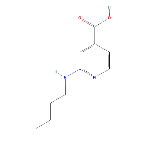 2-(Butylamino)isonicotinic acid (CAS: 77314-78-4) - Related Chemical Product