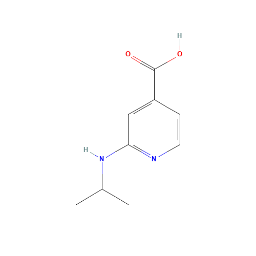 2-(Isopropylamino)isonicotinic acid (CAS: 77314-51-3) - Related Chemical Product