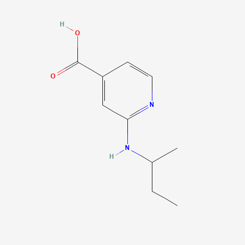 2-(sec-Butylamino)isonicotinic acid (CAS: 1019388-11-4) - Related Chemical Product