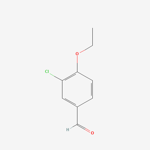 3-Chloro-4-ethoxybenzaldehyde (CAS: 99585-10-1) - Related Chemical Product
