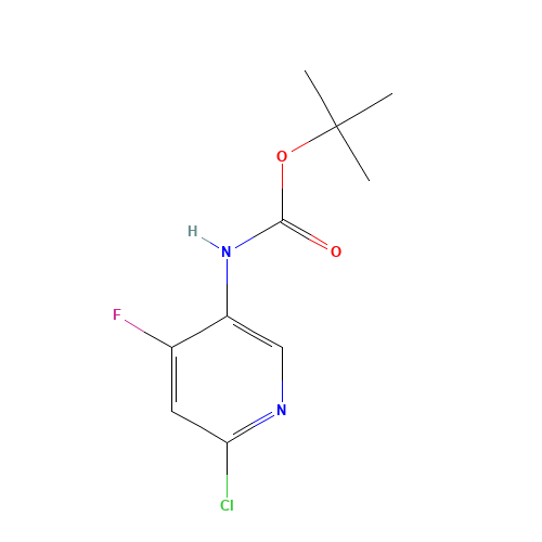 tert-Butyl N-(6-chloro-4-fluoro-3-pyridinyl)-carbamate (CAS: 915307-78-7) - Related Chemical Product