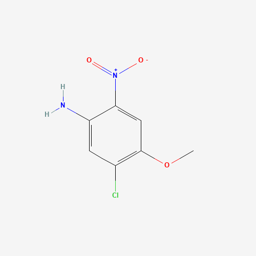 5-Chloro-4-methoxy-2-nitroaniline (CAS: 160088-54-0) - Related Chemical Product