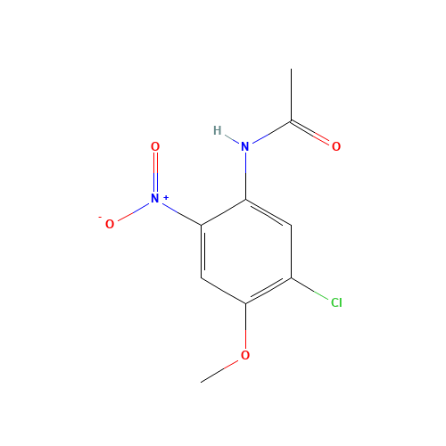 N-(5-Chloro-4-methoxy-2-nitrophenyl)acetamide (CAS: 160088-53-9) - Chemical Structure and Molecular Formula 