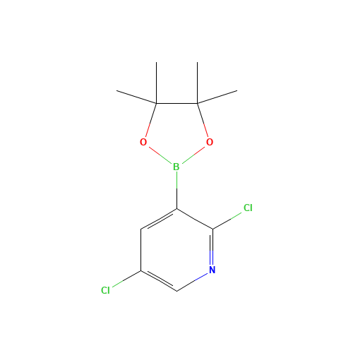 2,5-Dichloro-3-(4,4,5,5-tetramethyl-1,3,2-dioxaborolan-2-yl)pyridine (CAS: 1073371-98-8) - Related Chemical Product