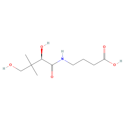 4-[(2,4-Dihydroxy-3,3-dimethylbutanoyl)amino]-butanoic acid (CAS: 18679-90-8) - Related Chemical Product
