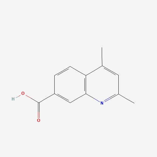 2,4-Dimethylquinoline-7-carboxylic acid (CAS: 936074-38-3) - Related Chemical Product