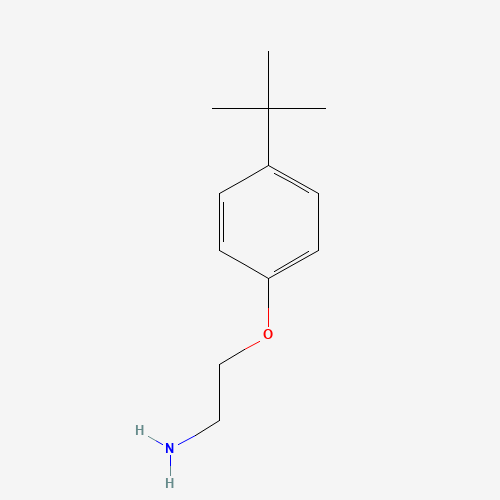 [2-(4-tert-Butylphenoxy)ethyl]amine (CAS: 50634-73-6) - Related Chemical Product