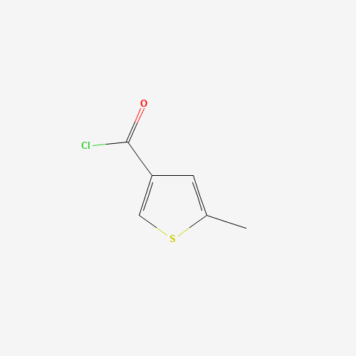 5-Methylthiophene-3-carbonyl chloride (CAS: 754190-97-1) - Related Chemical Product