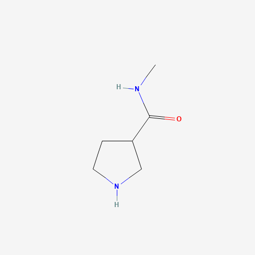 N-Methylpyrrolidine-3-carboxamide (CAS: 1007870-02-1) - Chemical Structure and Molecular Formula 