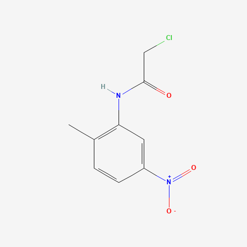 2-Chloro-N-(2-methyl-5-nitrophenyl)acetamide (CAS: 35588-36-4) - Related Chemical Product
