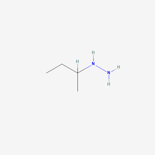 sec-Butylhydrazine (CAS: 30924-14-2) - Related Chemical Product