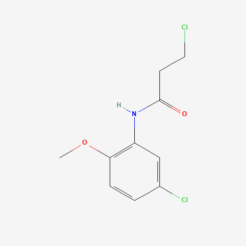 3-Chloro-N-(5-chloro-2-methoxyphenyl)propanamide (CAS: 346726-62-3) - Related Chemical Product