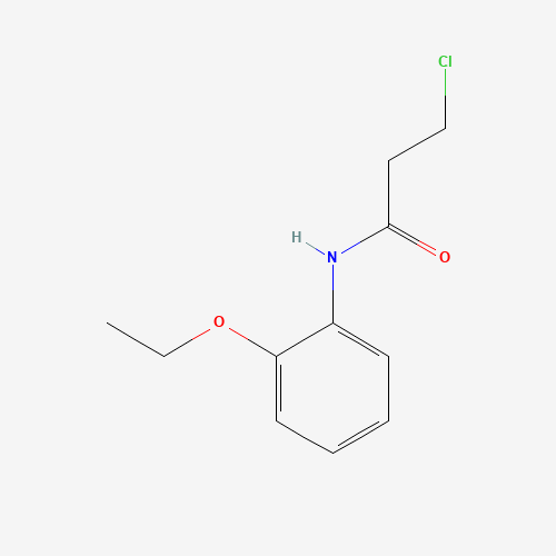 3-Chloro-N-(2-ethoxyphenyl)propanamide (CAS: 334504-88-0) - Chemical Structure and Molecular Formula 