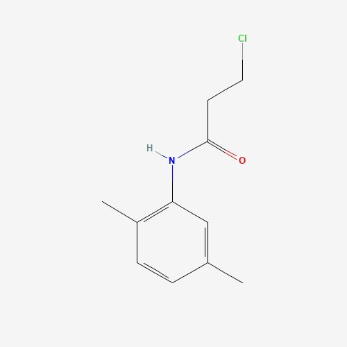 3-Chloro-N-(2,5-dimethylphenyl)propanamide (CAS: 39494-07-0) - Related Chemical Product
