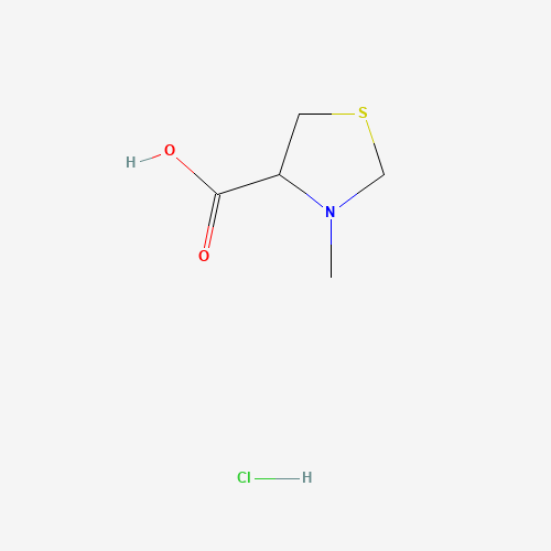 3-Methyl-1,3-thiazolidine-4-carboxylic acid hydrochloride (CAS: 60129-40-0) - Chemical Structure and Molecular Formula 