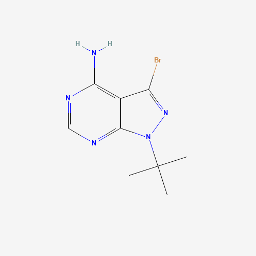 3-Bromo-1-tert-butyl-1H-pyrazolo-[3,4-d]pyrimidin-4-amine (CAS: 862728-61-8) - Chemical Structure and Molecular Formula 