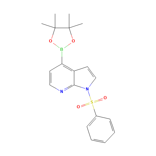 1-Phenylsulfonyl-7-azaindole-4-boronic acid pinacol ester (CAS: 942919-24-6) - Related Chemical Product