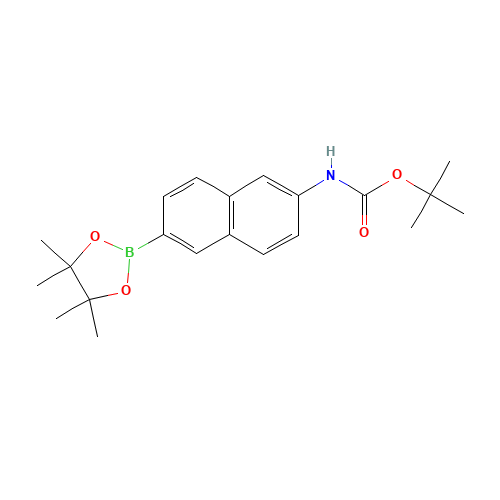 tert-Butyl 6-(4,4,5,5-tetramethyl-1,3,2-dioxaborolan-2-yl)-naphthalen-2-ylcarbamate (CAS: 1312611-41-8) - Related Chemical Product