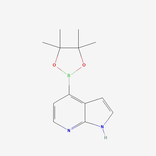 4-(4,4,5,5-Tetramethyl-1,3,2-dioxaborolan-2-yl)-1H-pyrrolo[2,3-b]pyridine (CAS: 942919-26-8) - Related Chemical Product