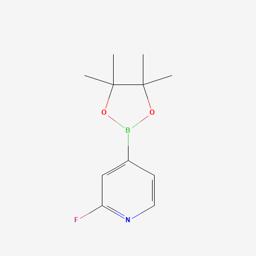 2-Fluoropyridine-4-boronic acid pinacol ester (CAS: 458532-86-0) - Related Chemical Product