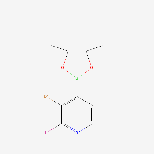 3-Bromo-2-fluoropyridine-4-boronic acid pinacol ester (CAS: 1150561-78-6) - Chemical Structure and Molecular Formula 
