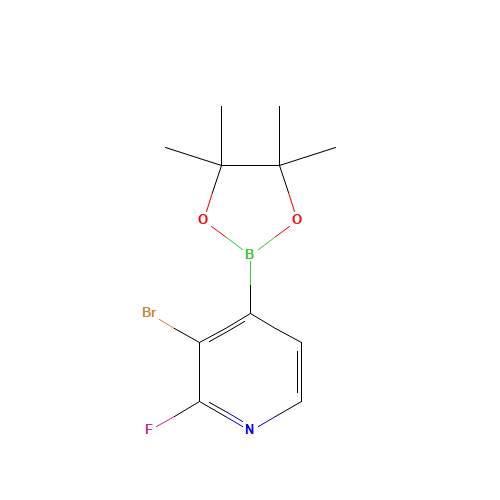3-Bromo-2-fluoropyridine-4-boronic acid pinacol ester (CAS: 1150561-78-6) - Related Chemical Product