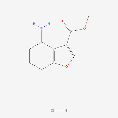 Methyl 4-amino-4,5,6,7-tetrahydrobenzofuran-3-carboxylate hydrochloride (CAS: 1172813-04-5) - Related Chemical Product